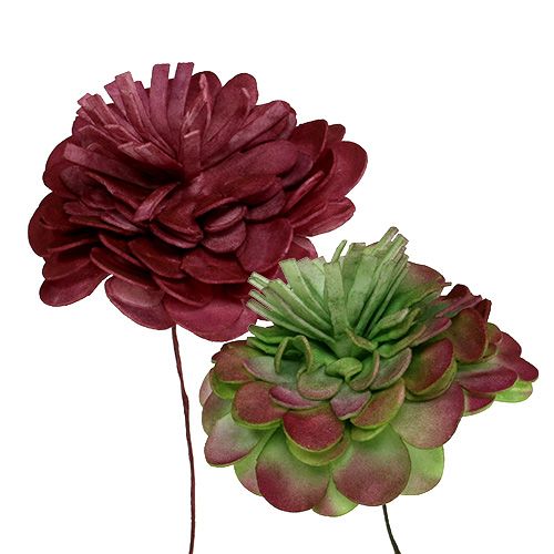 Floristik24 Foam flower 7cm green / bordeaux 12pcs