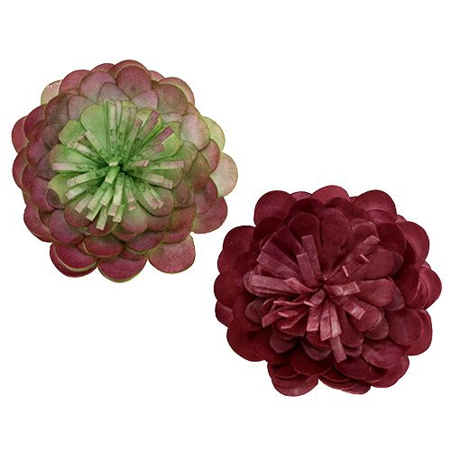 Floristik24 Foam flower 7cm green / bordeaux 12pcs