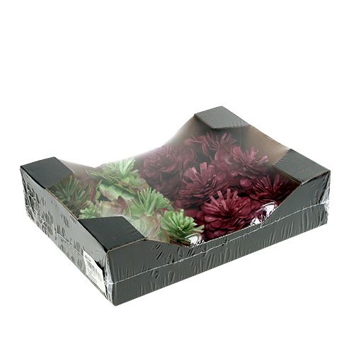 Floristik24 Foam flower 7cm green / bordeaux 12pcs