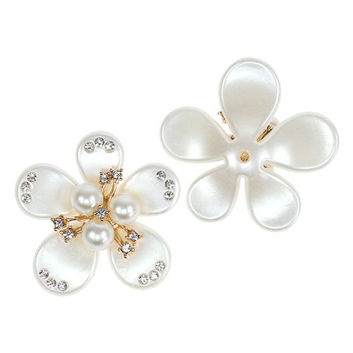 Floristik24 Blossom with pearls in cream Ø4cm 8pcs