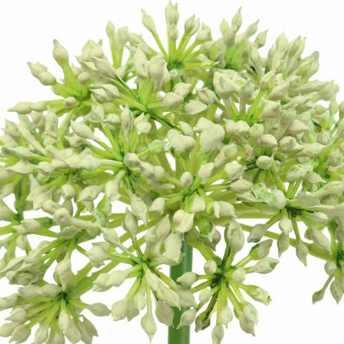 Product Allium artificial white 55cm
