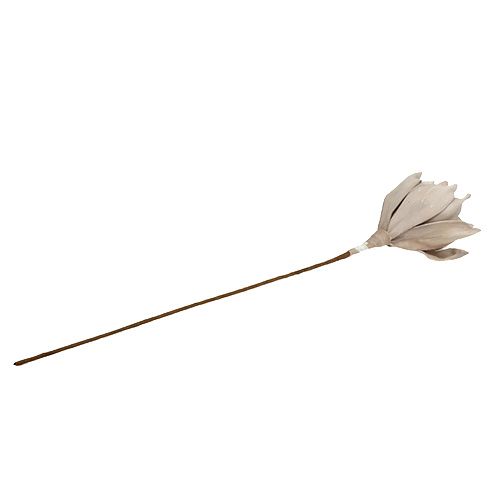 Floristik24 Blossom branch foam gray 65cm