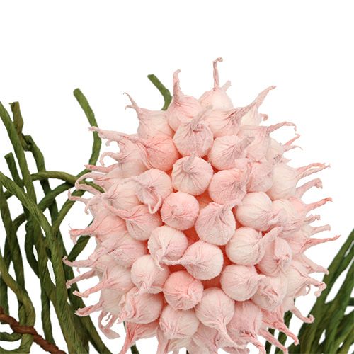 Product Blossom branch Foam Pink/Green 65cm