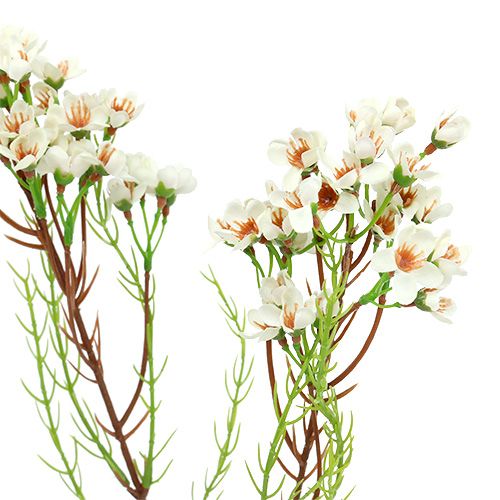 Floristik24 Blossom branch green, white 80cm 3pcs