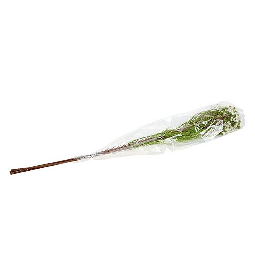 Floristik24 Blossom branch green, white 80cm 3pcs