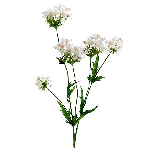 Floristik24 Blossom branch white L70cm