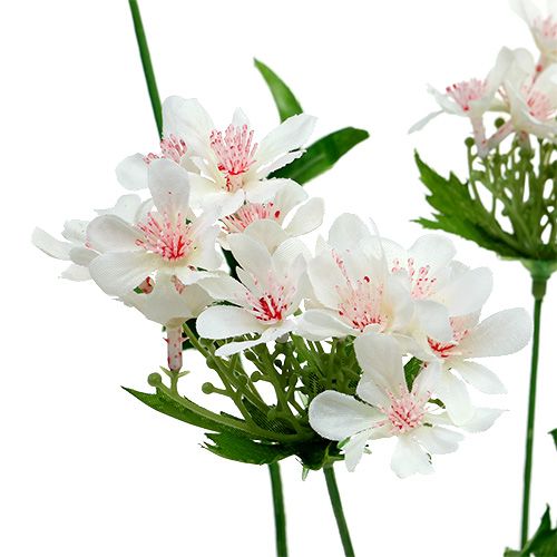 Floristik24 Blossom branch white L70cm