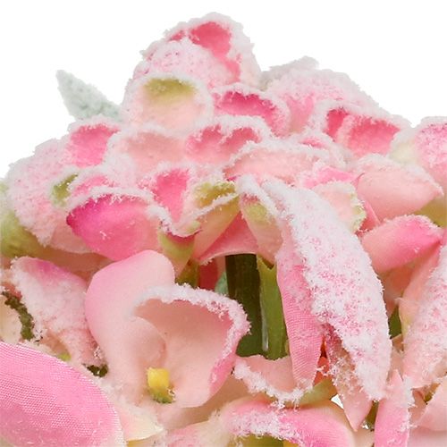 Hydrangea pink snowed 33cm 4pcs