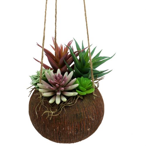 Floristik24 Hanging basket with artificial succulents L65cm Ø16cm