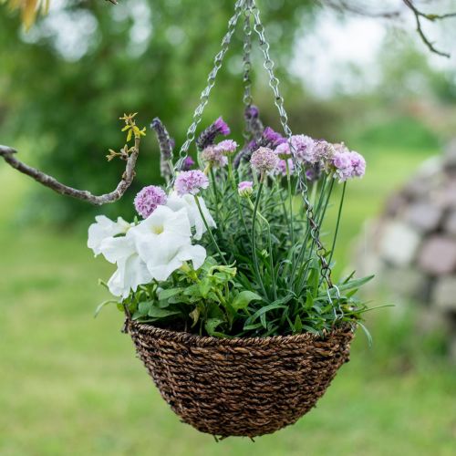 Flower basket brown hanging basket hanging basket plant basket Ø25cm