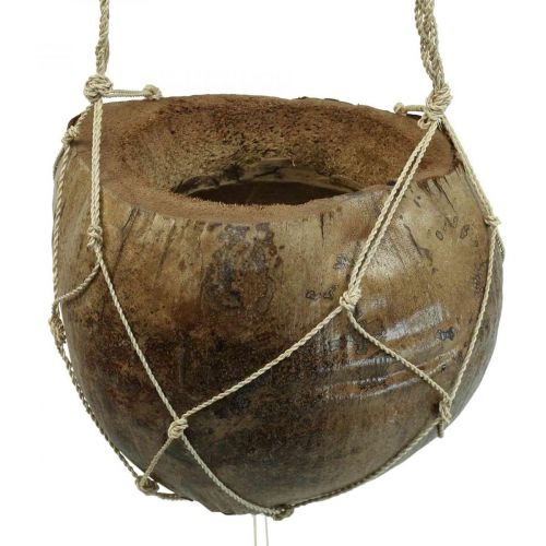 Floristik24 Flower basket coconut maritime decoration wind chime nature 110cm