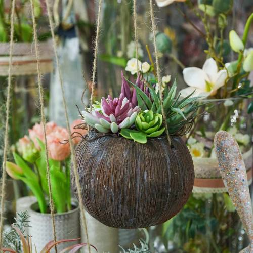 Product Hanging basket with artificial succulents L65cm Ø16cm