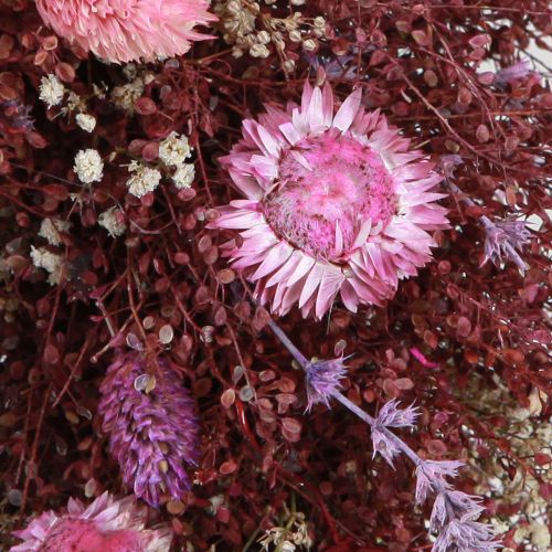 Floristik24 Flower wreath dried flowers wreath wine red pink Ø25cm