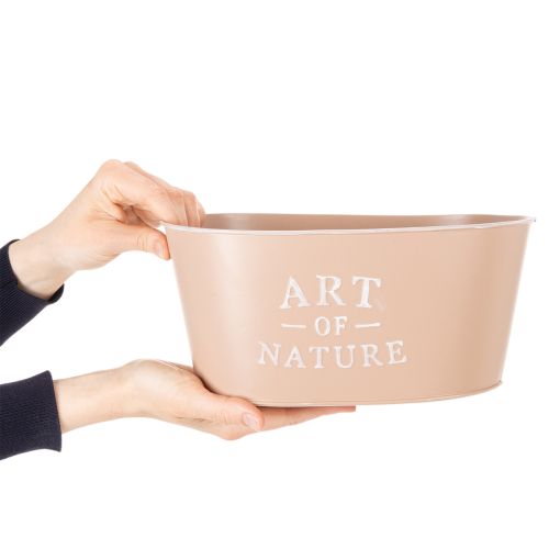 Oval zinc flower bowl, antique rose, planter, 27×18cm, H12.5cm | Floristik24.ie