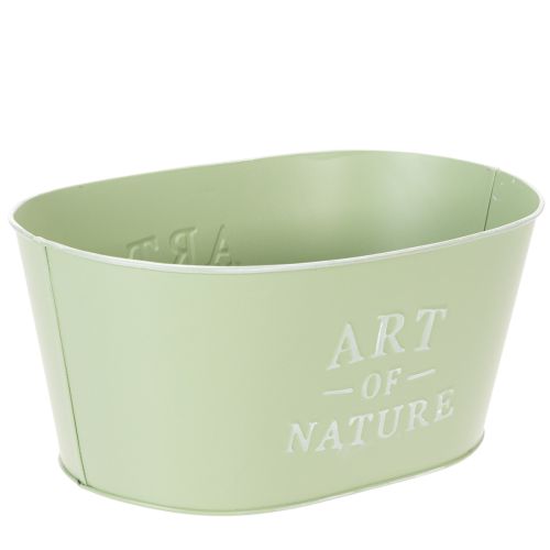 Flower bowl oval zinc mint green 27×18cm H12.5cm | Floristik24.ie