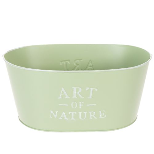 Flower bowl oval zinc mint green 27×18cm H12.5cm buy online | Floristik24.ie