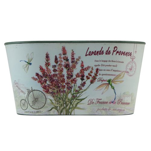 Product Flower bowl oval lavender flower pot plastic 21.5×12.5cm H11cm