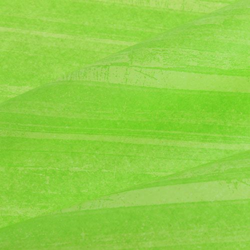 Floristik24 Flower Silk Trendline Green 50cm 6kg