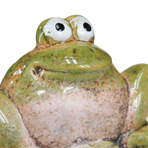 Floristik24 Flower Stick Frog Ceramic Green Brown 6x4x4.5cm 4 pcs