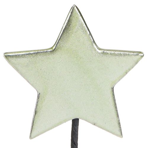 Floristik24 Flower plugs stars plugs green 7cm – 2nd choice – 24 pieces