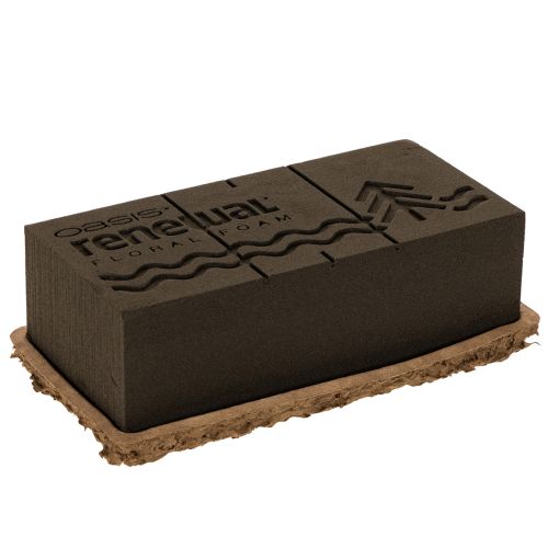 Floral foam 1/1 brick OASIS® Renewal® Floral Foam Biolit® 24cm 2pcs