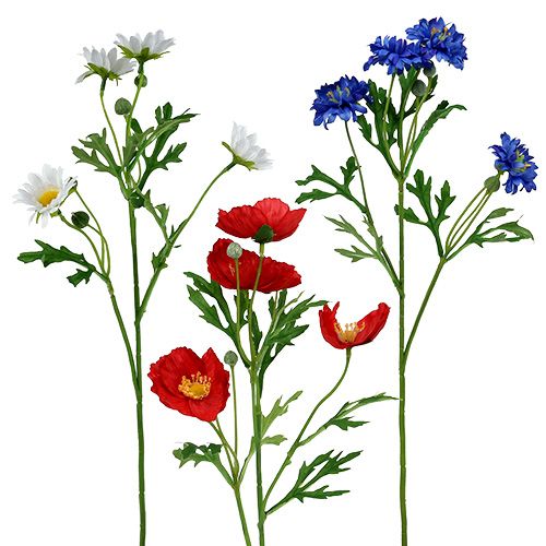 Floristik24 Bouquet of meadow flowers 55cm