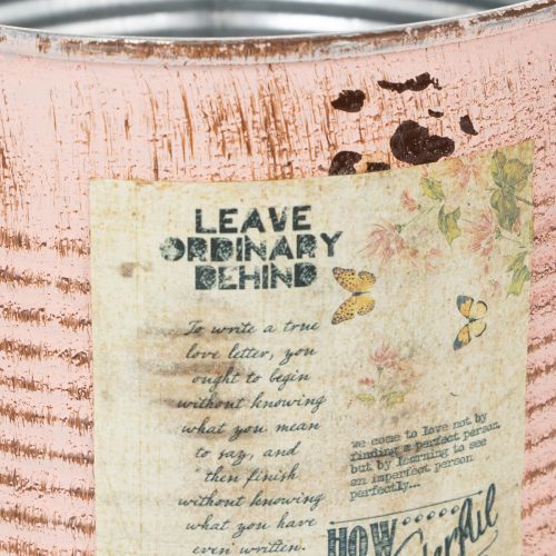 Product Flower pot decorative can salmon metal planter Ø15.5cm H15cm