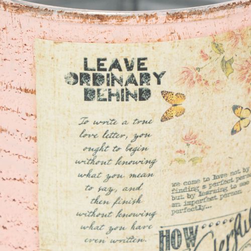 Product Flower pot decorative can salmon metal summer decoration Ø11cm H10.5cm