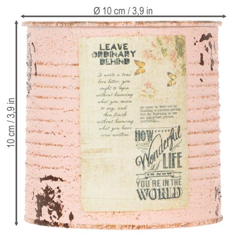 Product Flower pot decorative can salmon metal summer decoration Ø11cm H10.5cm