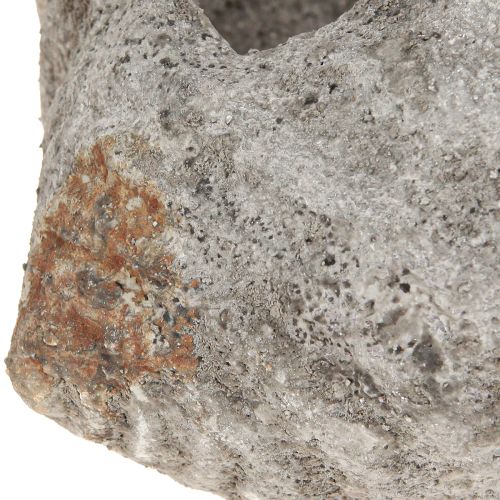 Product Flowerpot shell stone antique grey maritime 22×18×13cm