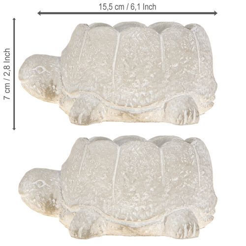 Product Flowerpot turtle concrete decoration grey white 15.5cm 2pcs