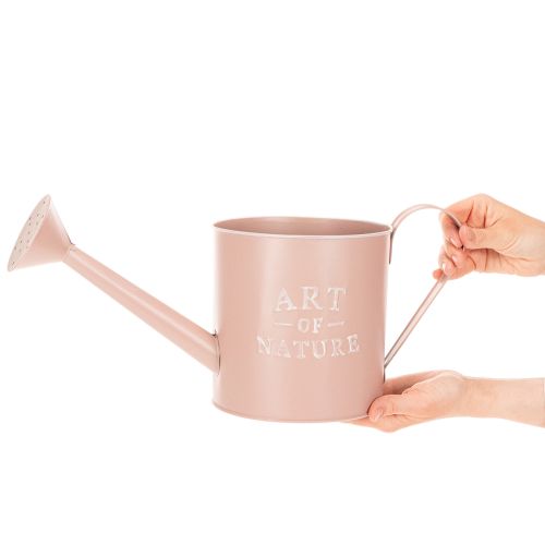 Vintage decorative flower pot/watering can, antique rose zinc, Ø16.5cm H17cm | Floristik24.ie