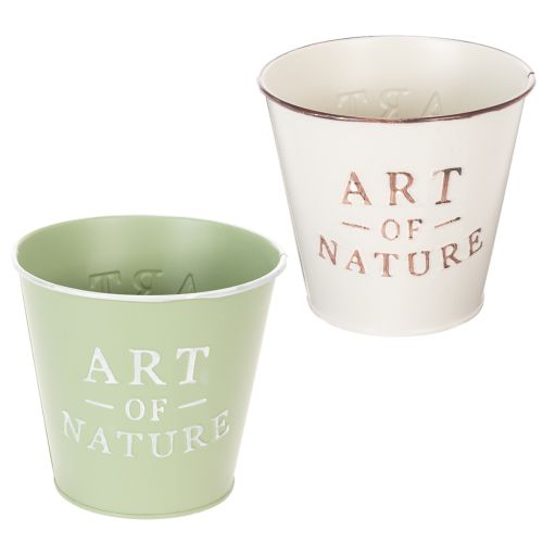 ProductName  
Set of 2 Decorative Metal Plant Pots with "Art of Nature" Design, 15cm, Multi-Coloured  

/ProductName  

ProductDescription  
<div>  
<h2>Decorative Metal Plant Pots with "Art of Nature" Design</h2>  
<p>Add a natural and stylish touch to y