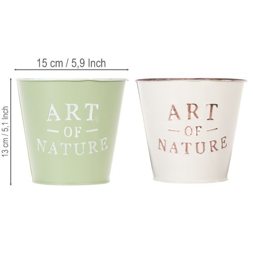 ProductName  
Set of 2 Decorative Metal Plant Pots with "Art of Nature" Design, 15cm, Multi-Coloured  

/ProductName  

ProductDescription  
<div>  
<h2>Decorative Metal Plant Pots with "Art of Nature" Design</h2>  
<p>Add a natural and stylish touch to y | Floristik24.ie