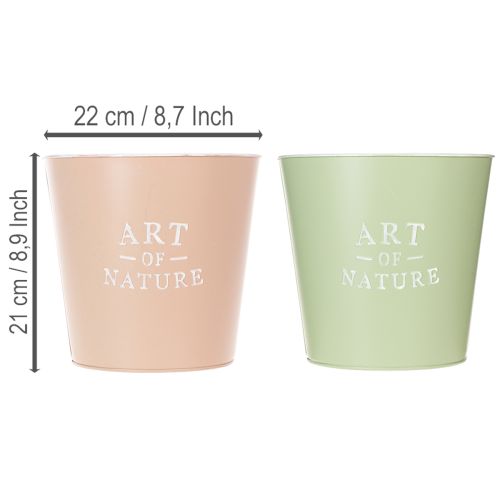 Round Zinc Planters in Pastel Colours - Set of 2 (22cm) | Floristik24.ie