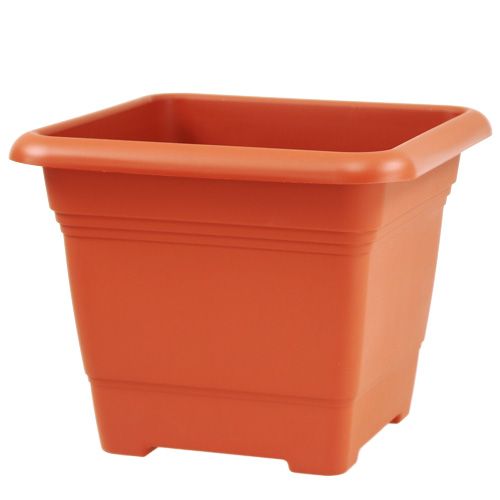 Floristik24 Flower pot "Nora" 33cm x 33cm H26cm terracotta, 1p