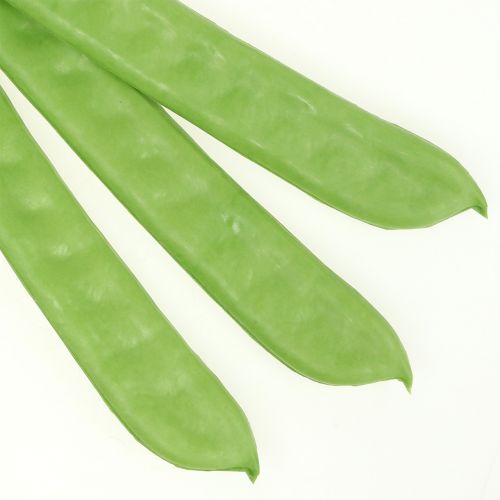 Product Deco beans green 34cm
