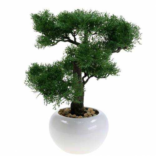 Floristik24 Artificial Bonsai Tree Pine in a pot H36cm