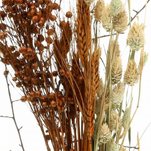 Floristik24 Wildflower bouquet nature, orange 25–60cm 65g