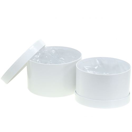 Floristik24 Flower box white Ø18 / 20cm 2pcs