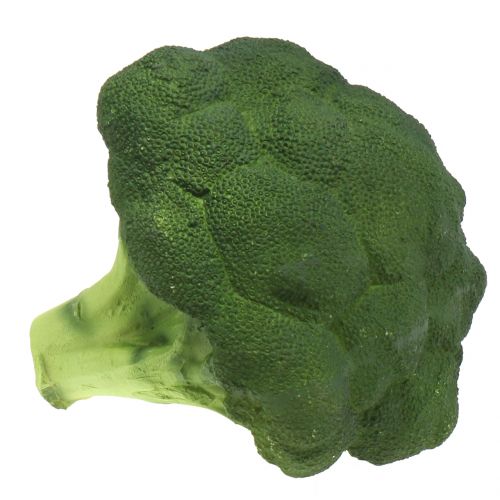 Floristik24 Broccoli Ø16cm