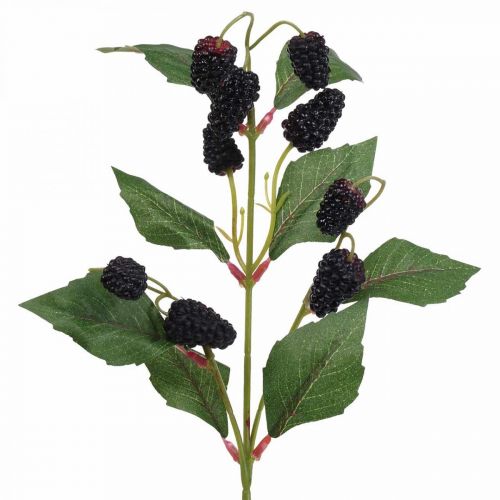 Product High-quality decorative branch with mulberry fruits for stylish arrangements