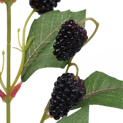 Product High-quality decorative branch with mulberry fruits for stylish arrangements