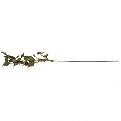 Floristik24 Decorative branch beech artificial beech branch autumn branch decoration 115cm
