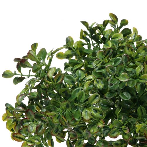 Floristik24 Boxwood branch green 27cm