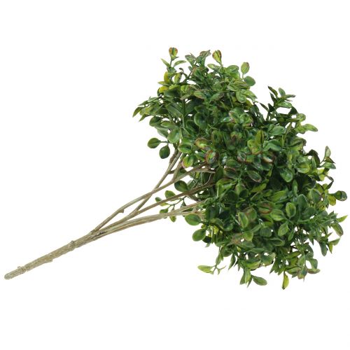 Floristik24 Boxwood branch green 27cm