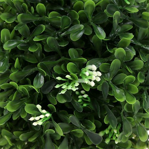 Floristik24 Boxwood ball with flowers green decorative ball Ø15cm 1 pc