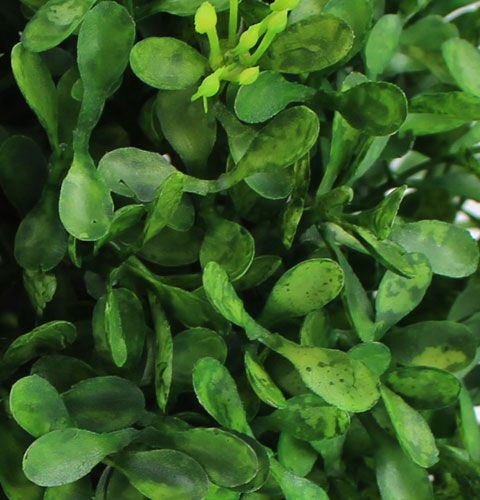 Floristik24 Box ball Ø15cm