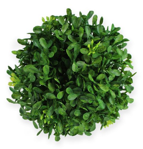 Floristik24 Box ball Ø12cm Artificial green plants decoration