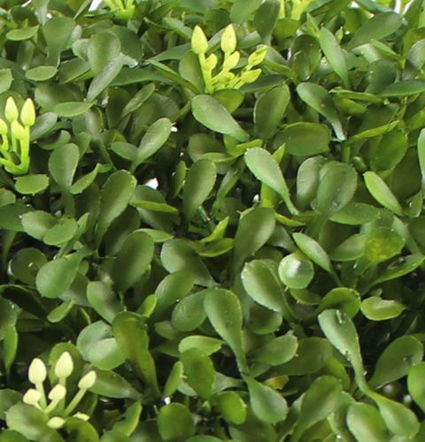 Floristik24 Box ball Ø25cm